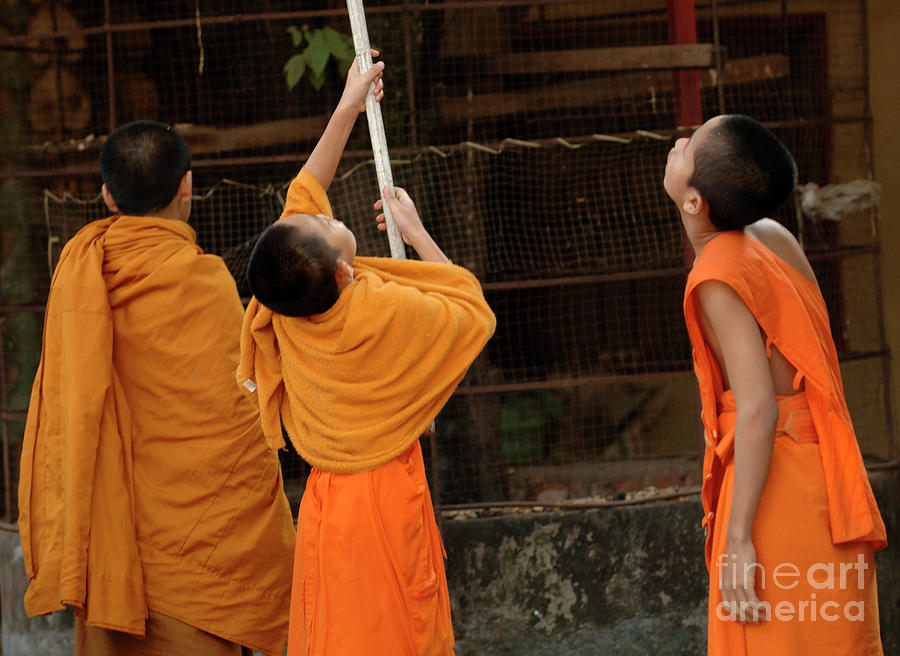 Three Young Monks Laos Photograph by Bob Christopher