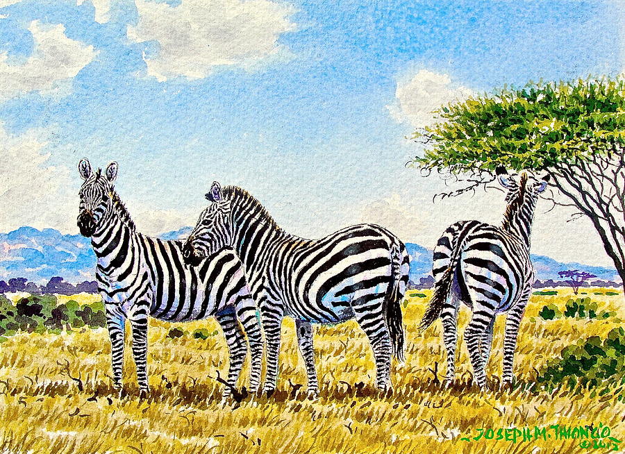 Zebra Painting - Three Zebras by Joseph Thiongo