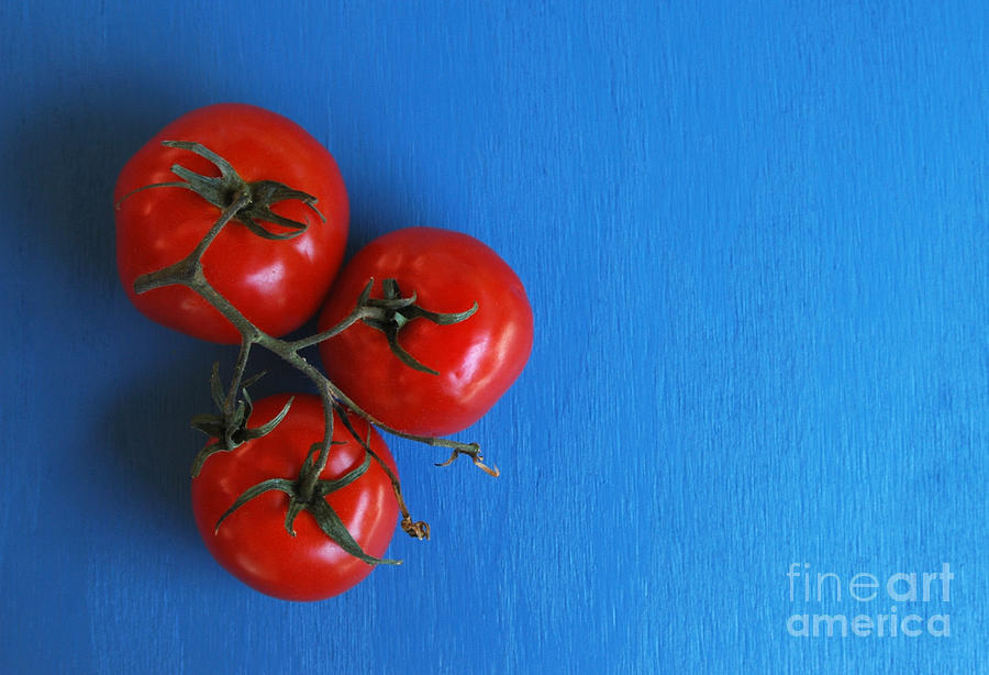 Tomato Photograph - Threematoes by Dan Holm