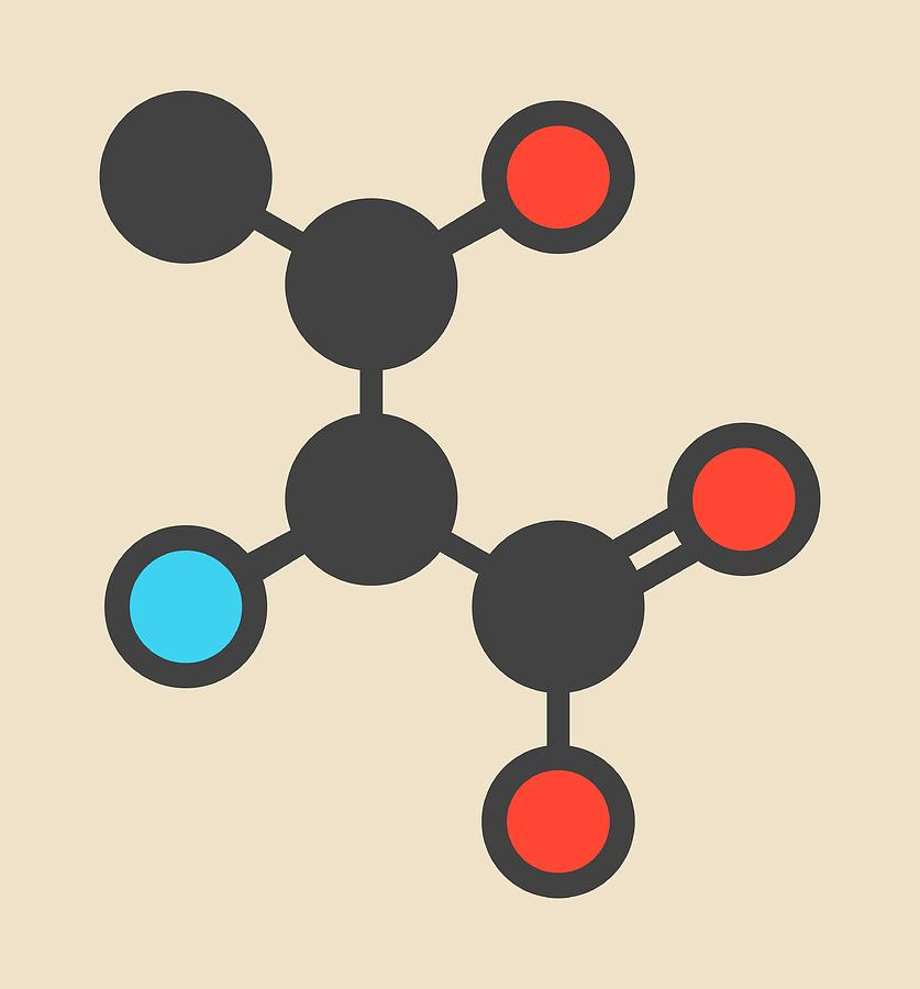 Threonine Amino Acid Molecule Photograph by Molekuul
