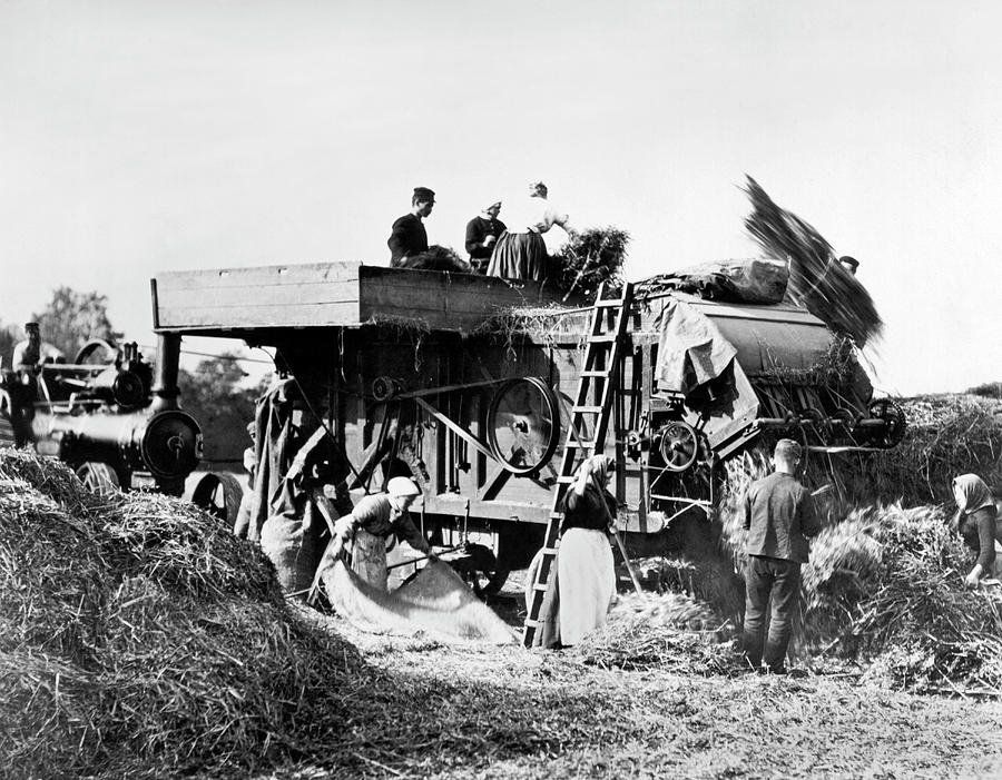 Vintage Photograph - Threshing Oats In Scotland by Underwood Archives