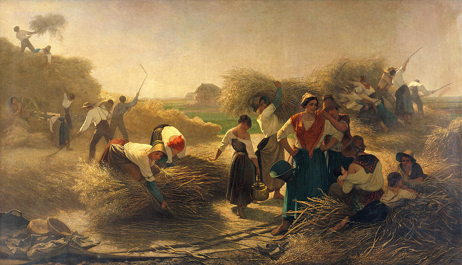 Harvest Photograph - Threshing Rapeseed In The Fields Of Lille Oil On Canvas by Auguste Joseph Herlin