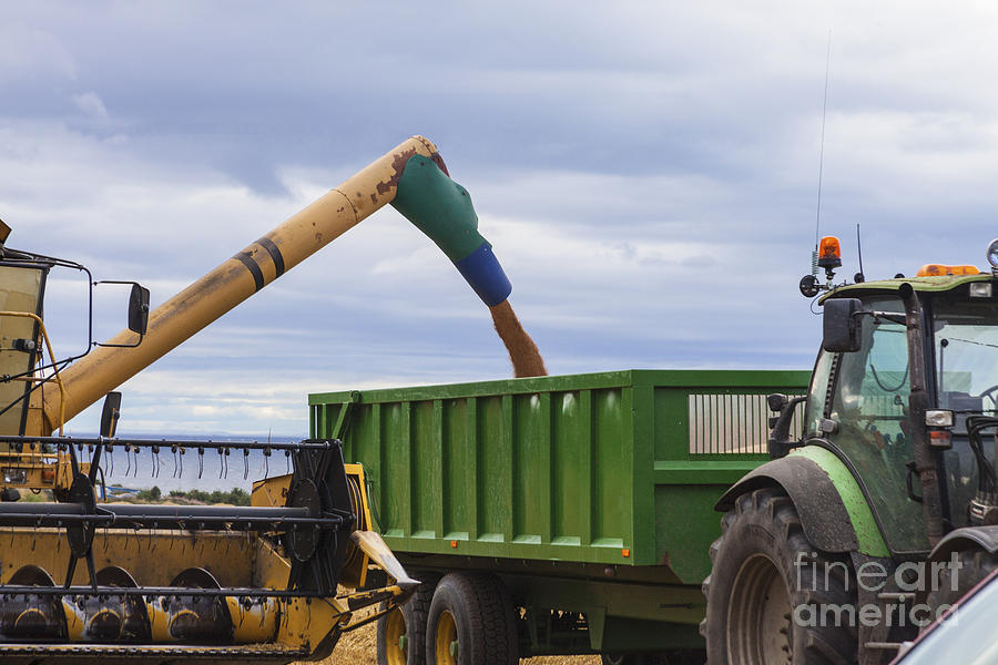 Threshing the Barley Photograph by Diane Macdonald Threshing the Barley Photograph by Diane Macdonald