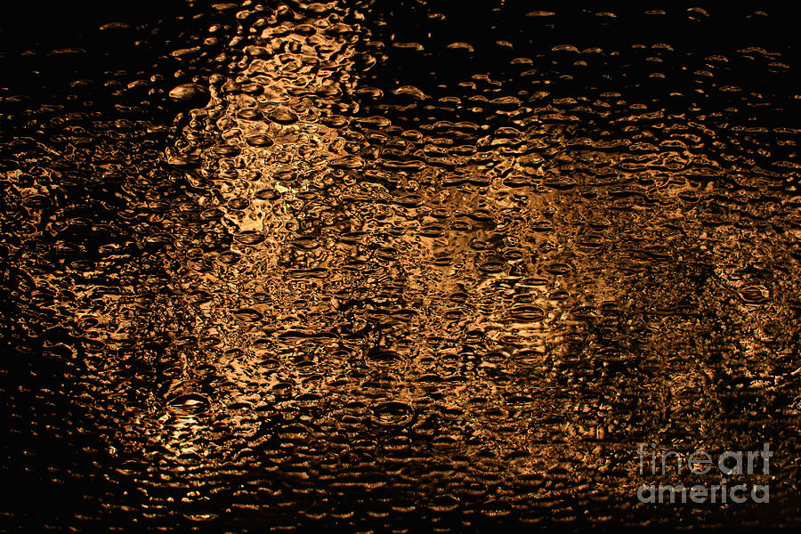 Through a Glass Darkly Photograph by Stan Reckard
