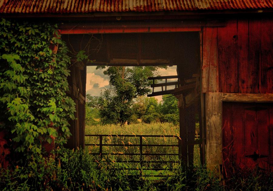 Through the Barn Door Photograph by Perry Frantzman