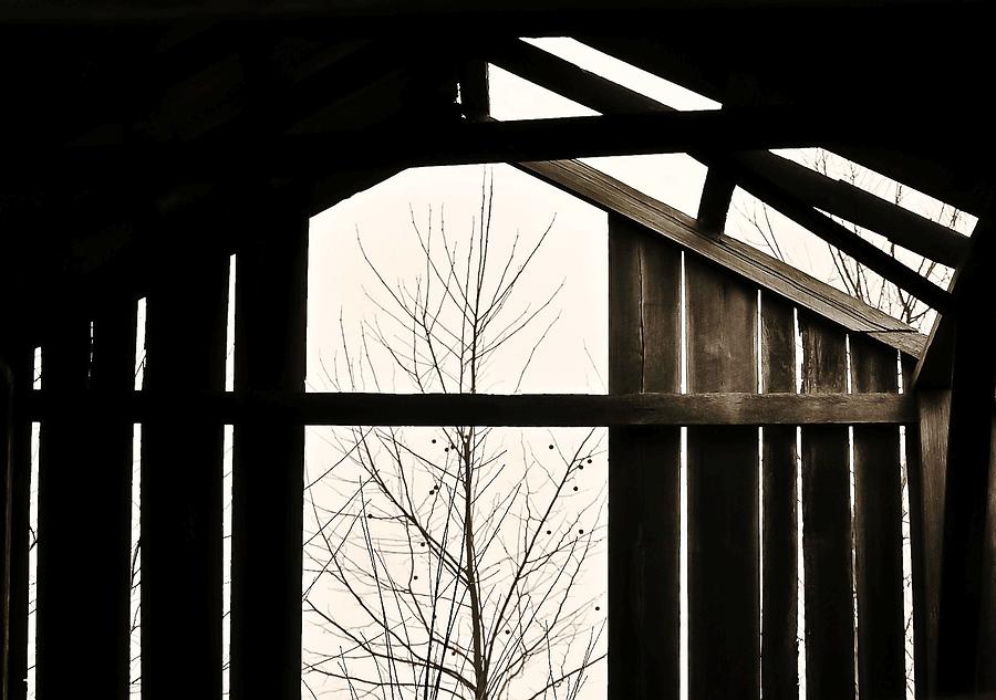 Through the Barn Loft Photograph by Greg Jackson