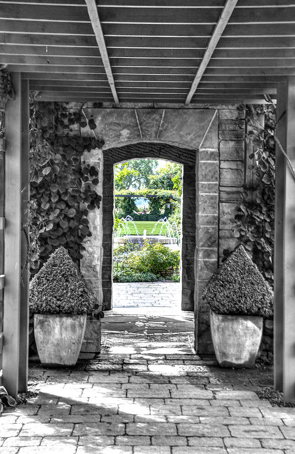 Through The Doorway Photograph by Janice Adomeit