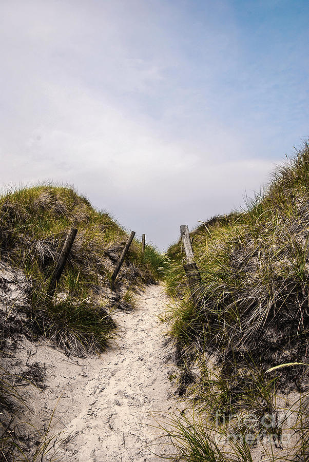 Through the Dunes Photograph by Hannes Cmarits