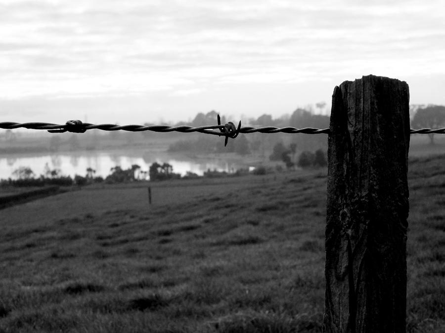Through the fence Photograph by Guy Pettingell