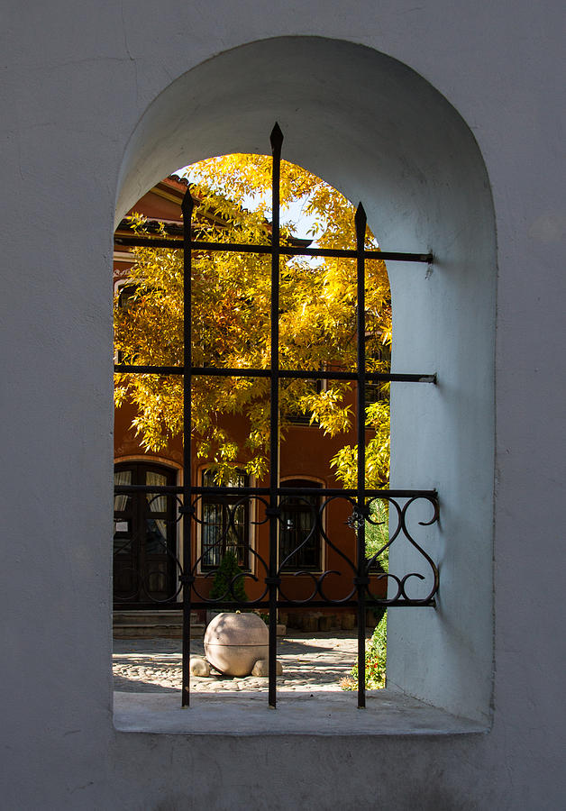 Through the Fence Window Photograph by Georgia Mizuleva