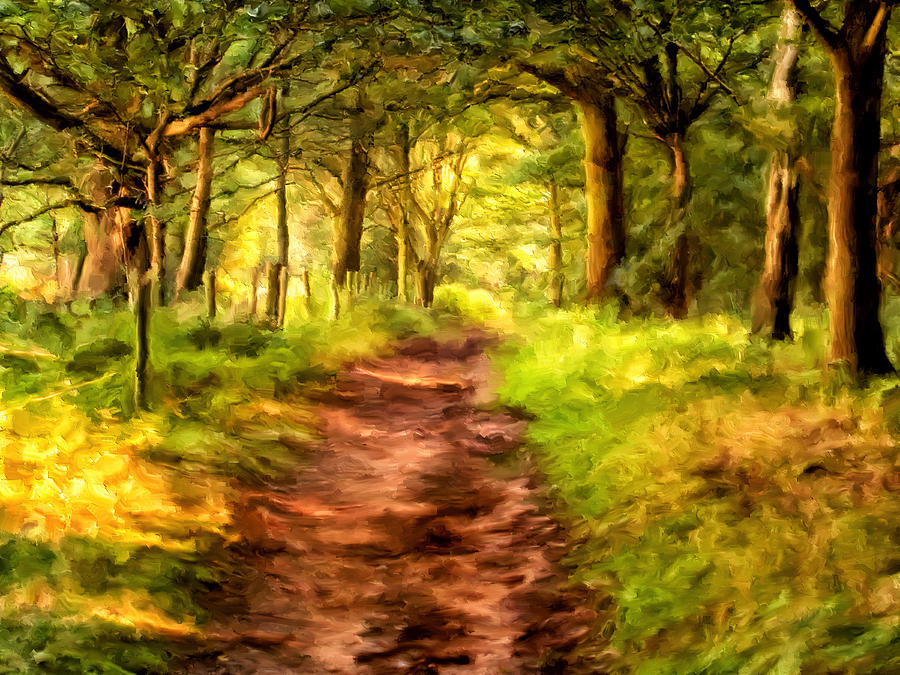 Through the Forest Painting by Michael Pickett