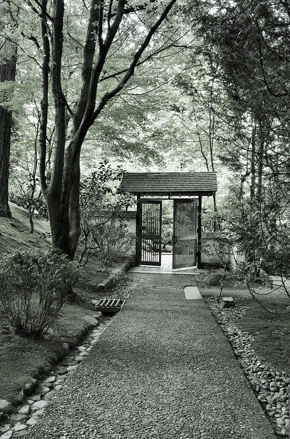 Through the Garden Gate Photograph by Don Schwartz