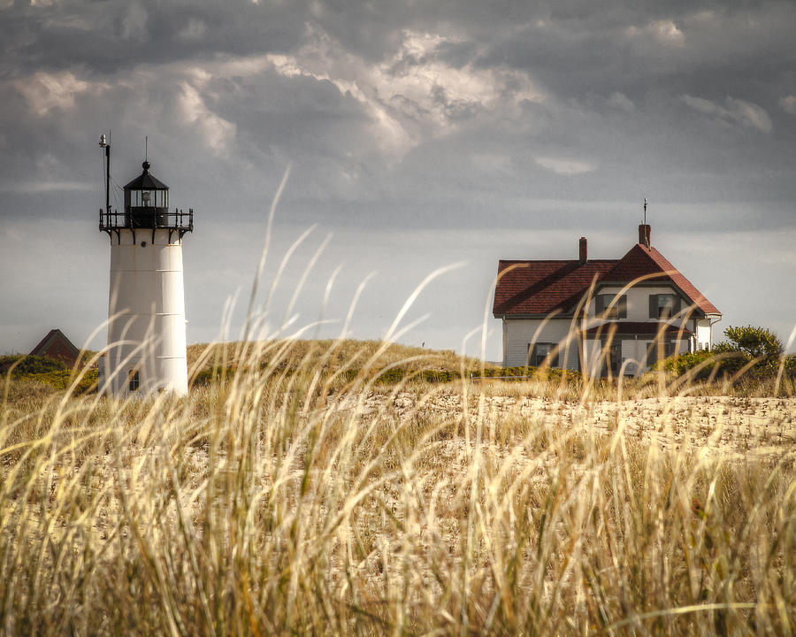 Race Point Light Through the Grass Photograph by Brian Caldwell