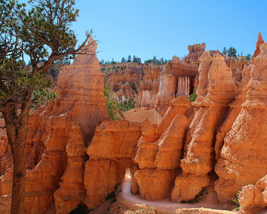 Through the HooDoos Photograph by Jemmy Archer