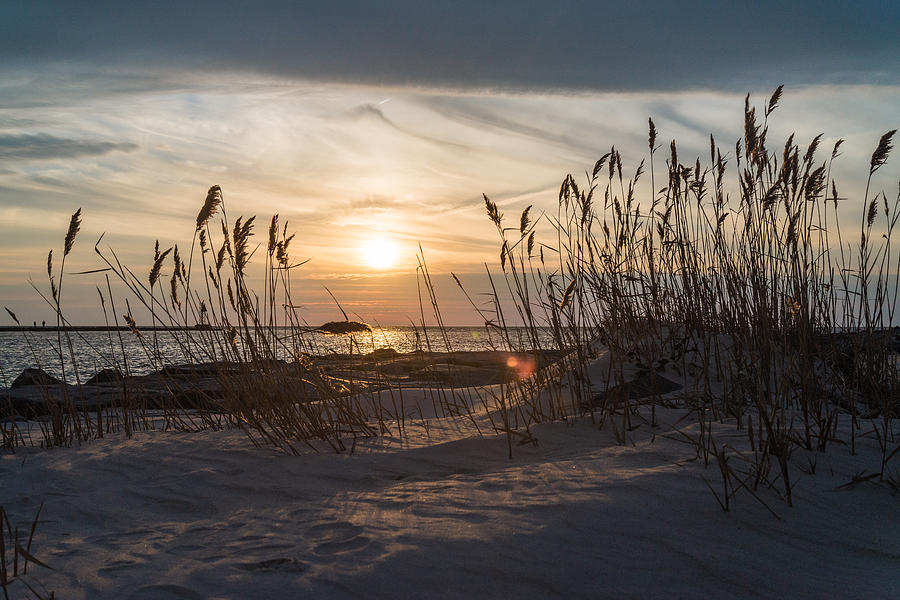 Sunset Photograph - Through the Reeds by Kristopher Schoenleber