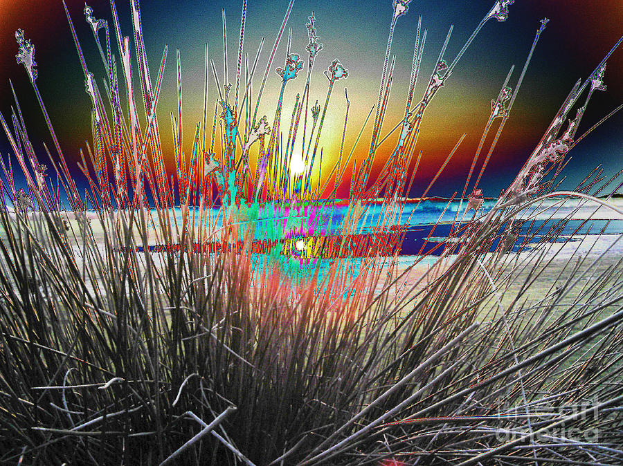 Sunset Photograph - Through the Reeds by Pete Moyes