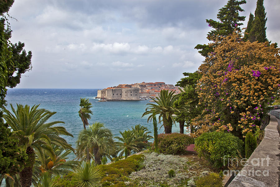 Through the Trees in Dubrovnik Photograph by Madeline Ellis