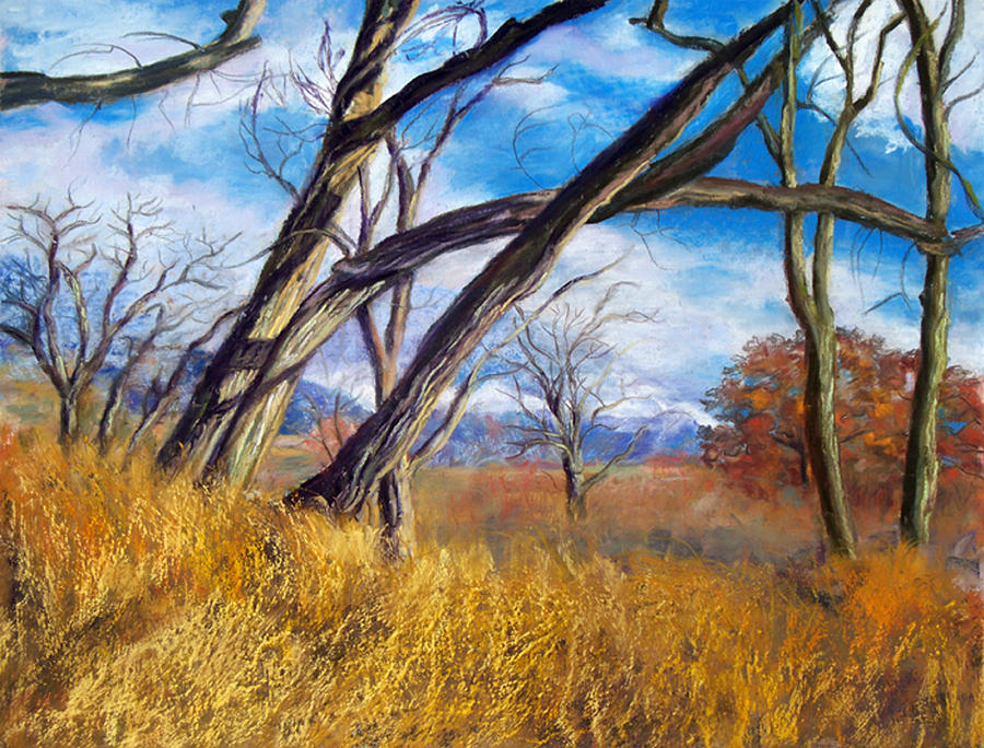 Through The Trees Pastel by Julie Maas