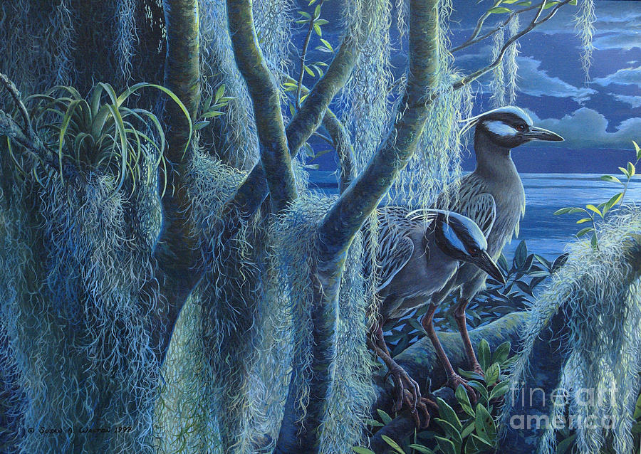 Heron Painting - Through the Watches of the Night ... Yellow Crowned Night Herons by Susan A Walton Heron Painting - Through the Watches of the Night ... Yellow Crowned Night Herons by Susan A Walton