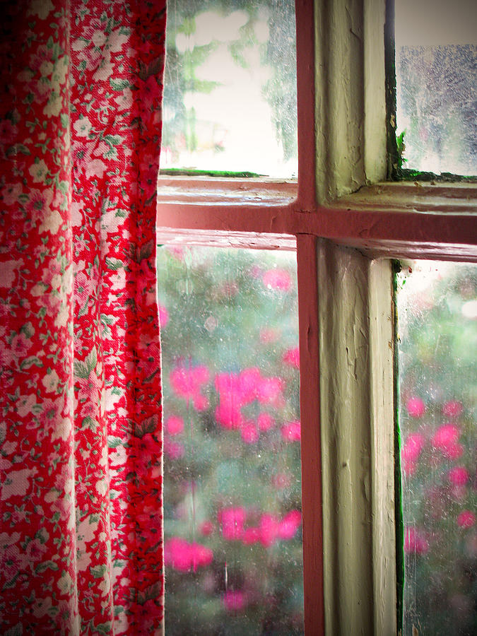 Through the Window Photograph by Lisa Chorny