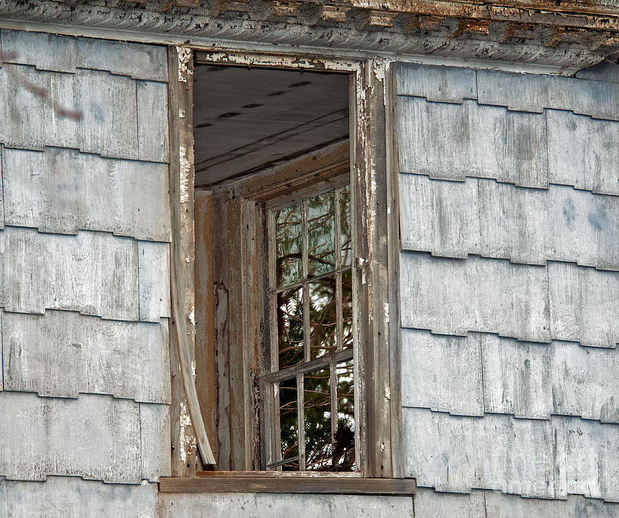 Through the Window of an Abandoned House Photograph by Phil Cardamone