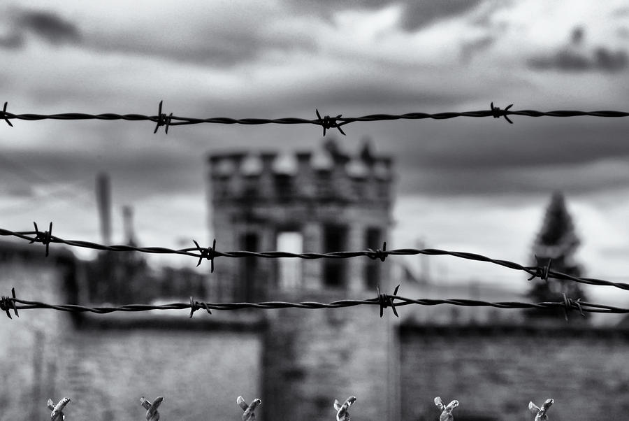Through the wire Photograph by Ghostwinds Photography