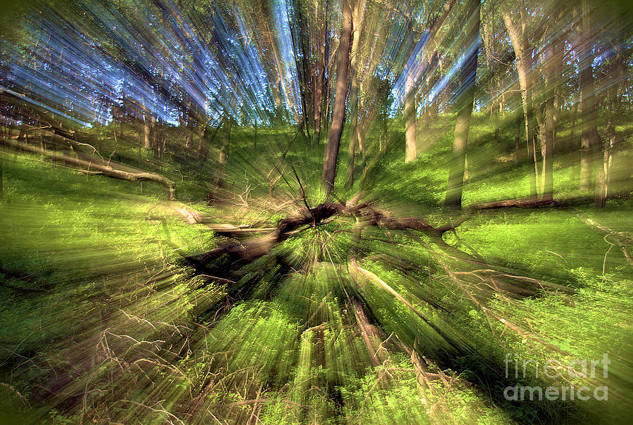 Through the Woods Photograph by Brett Maniscalco