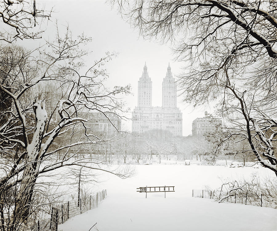 New York City Photograph - Through Winter Trees - Central Park - New York City by Vivienne Gucwa