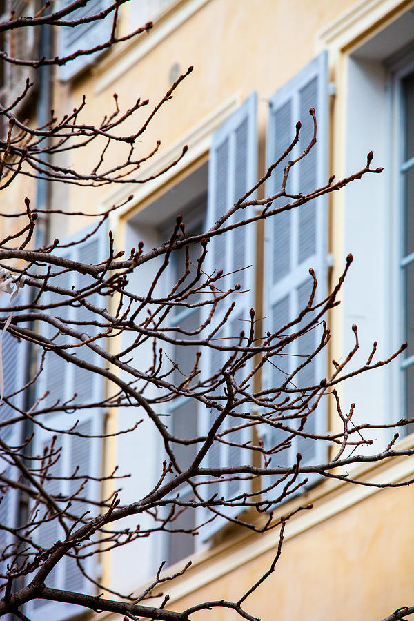 Aix-en-provence Photograph - Through Winters Twigs by W Chris Fooshee Aix-en-provence Photograph - Through Winters Twigs by W Chris Fooshee