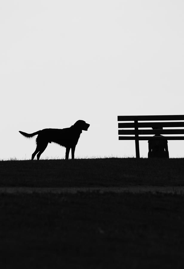 Black And White Photograph - Throw The Ball by J C