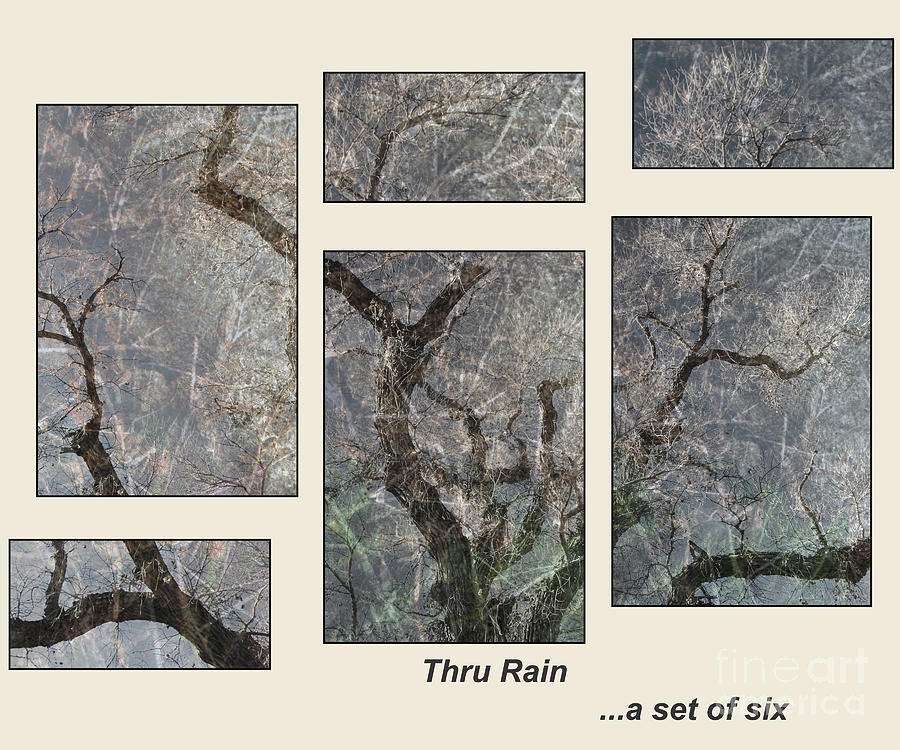 Thru Rain Wall Puzzle Photograph by Lee Craig