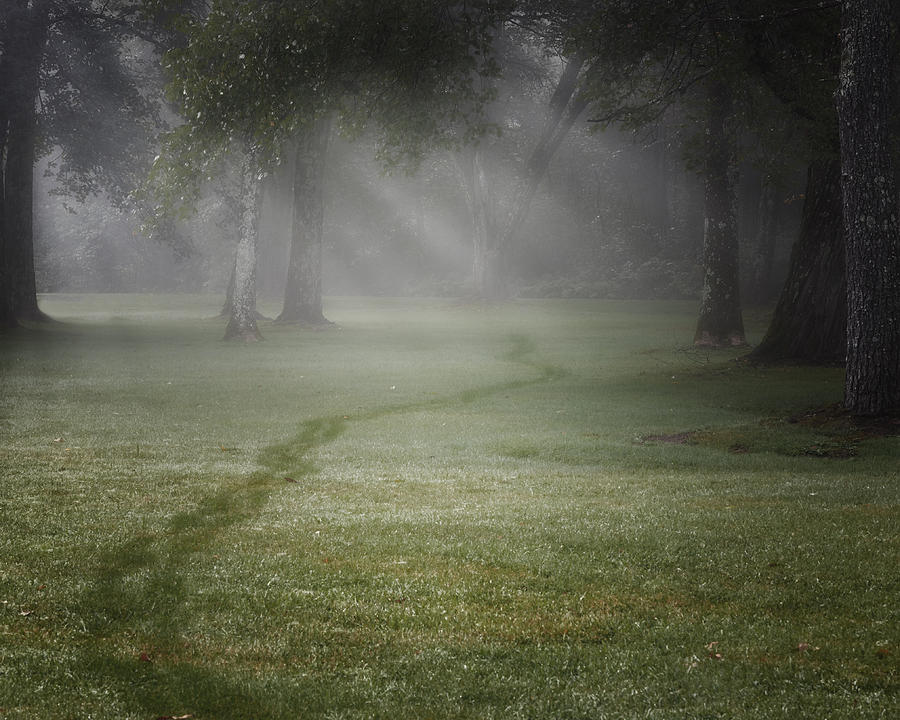 Summer Photograph - Thru The Fog by Bill Wakeley