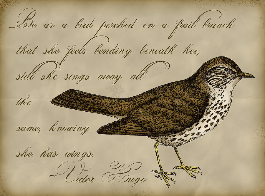 Victor Hugo Digital Art - Thrush Bird Wall Art by Christy Beckwith