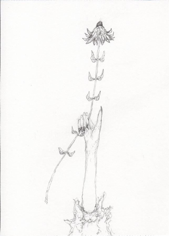 Flower Drawing - Thumbs Up Flower by Jim Taylor