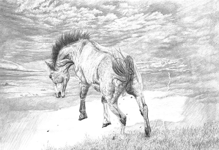 Horse Drawing - Thunder and Lightning by Laura Klassen