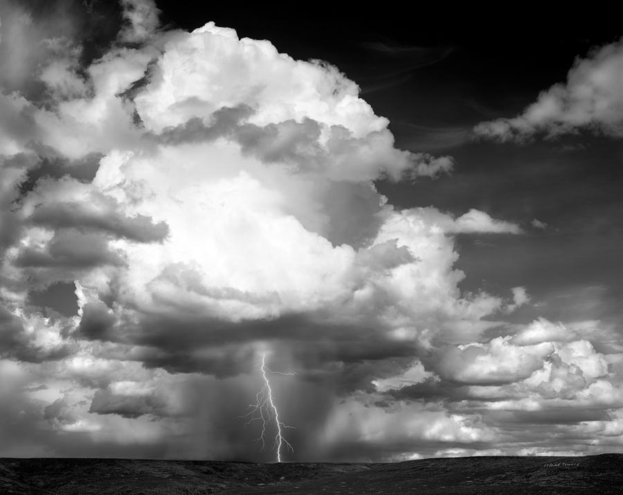 Thunder and Lightning Photograph by Leland D Howard