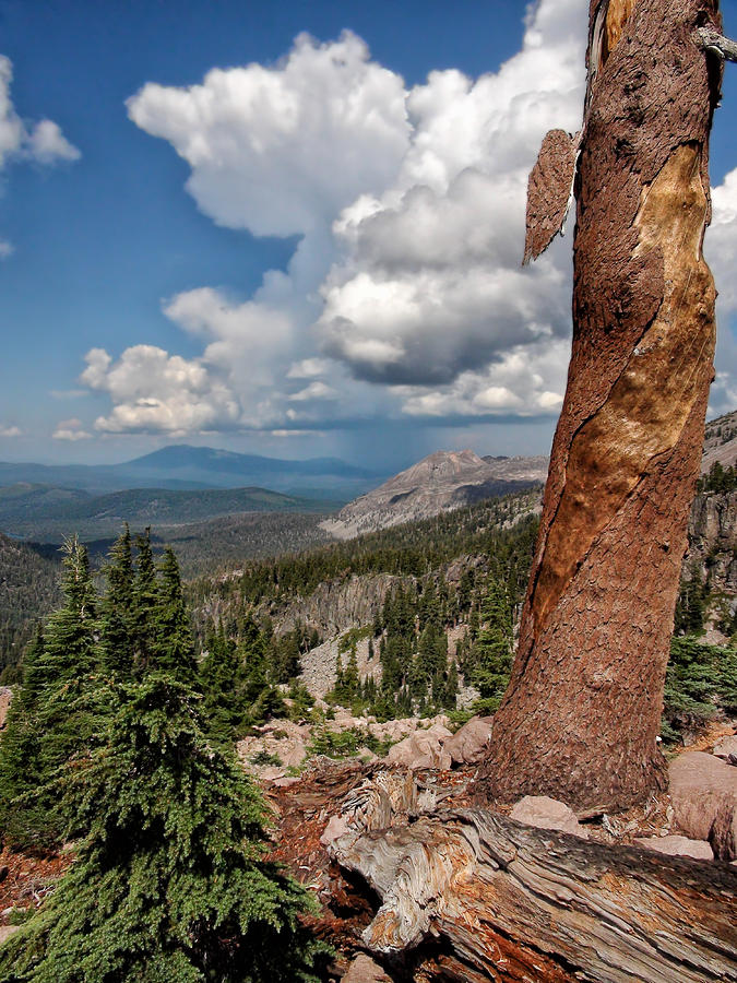 Lassen Volcanic National Park Photograph - Thunder Bumper over Chaos Crags by Kathleen Bishop