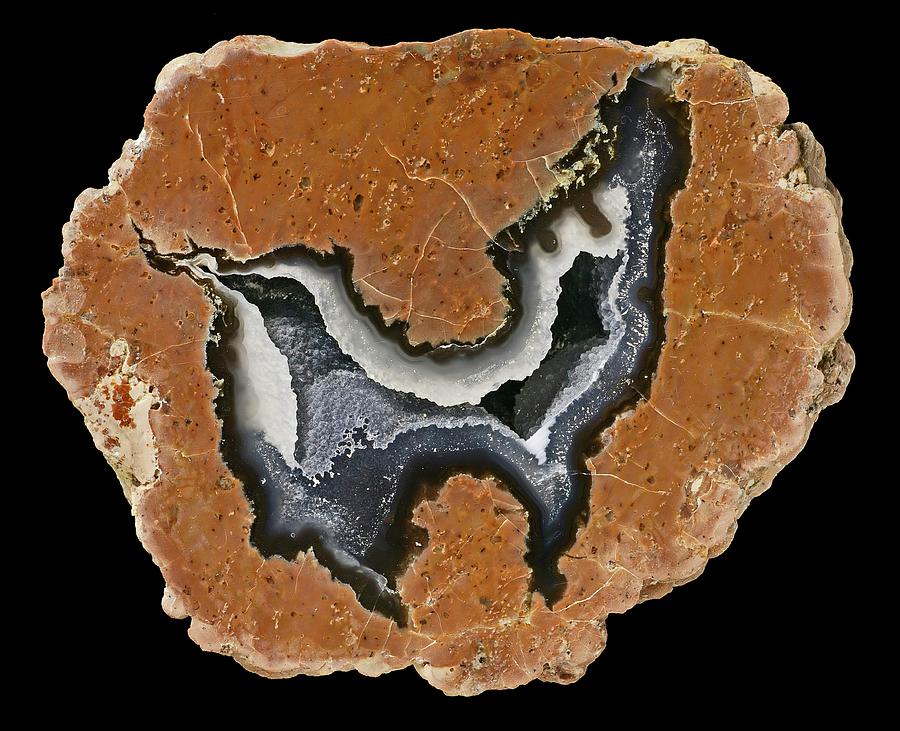 Thunder Egg Agate Photograph by Natural History Museum, London/science Photo Library