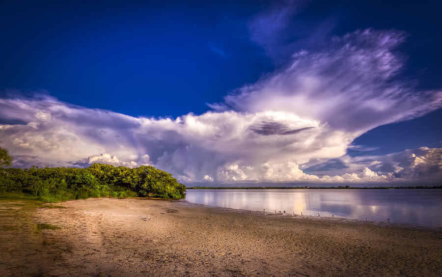 Tampa Photograph - Thunder Head Coming by Marvin Spates