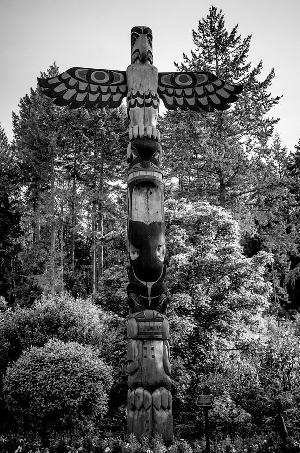 Thunderbird A Tradition Photograph by Roxy Hurtubise