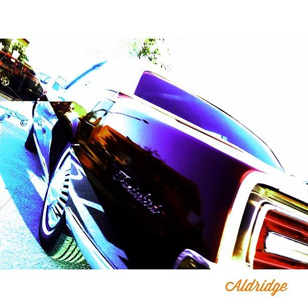 Car Photograph - Thunderbird:  #instagramhub by Jimmy Aldridge