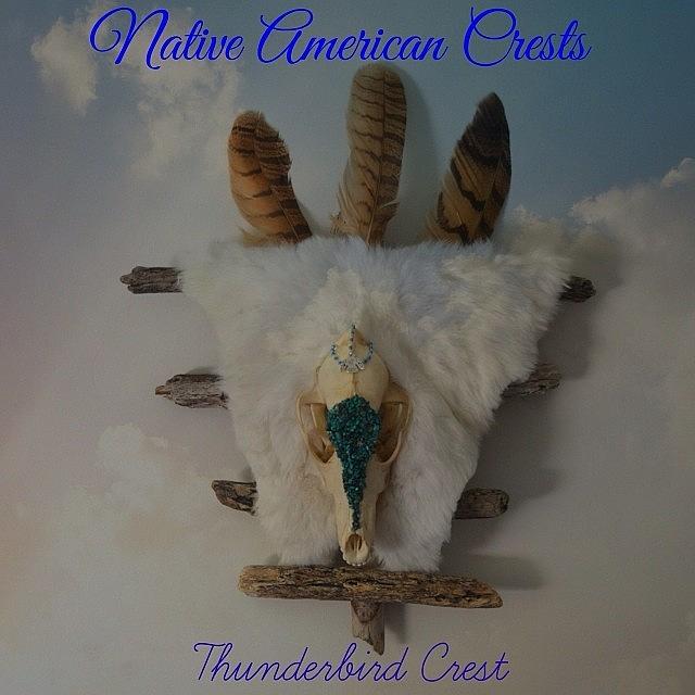Turquoise Photograph - Thunderbird Native American Crests by Shikoba Photography