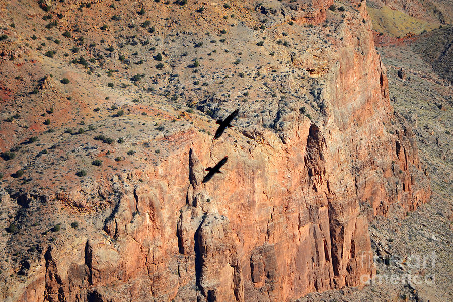 Thunderbirds Gliding over Cliff in Grand Canyon National Park Photograph by Shawn OBrien Thunderbirds Gliding over Cliff in Grand Canyon National Park Photograph by Shawn OBrien