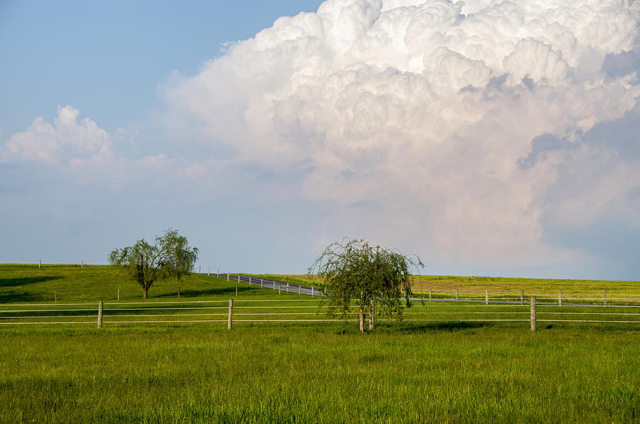 Thunderhead Over The Pasture Photograph by Cathy Kovarik