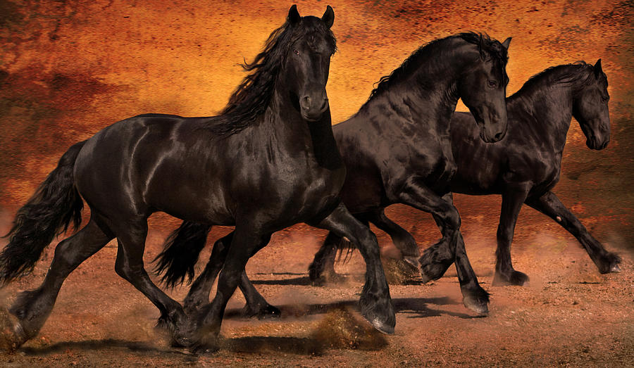 Horse Photograph - Thundering Hooves by Jean Hildebrant