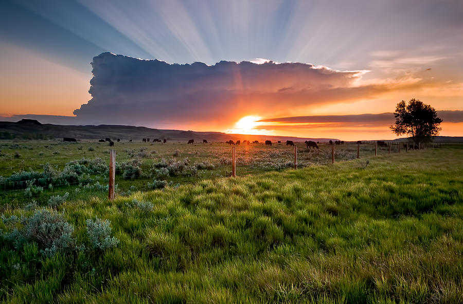 Thunderstorm Range - Montana Photograph by Douglas Berry