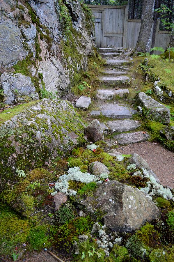Thuya Garden Stone Steps Photograph by Lena Hatch