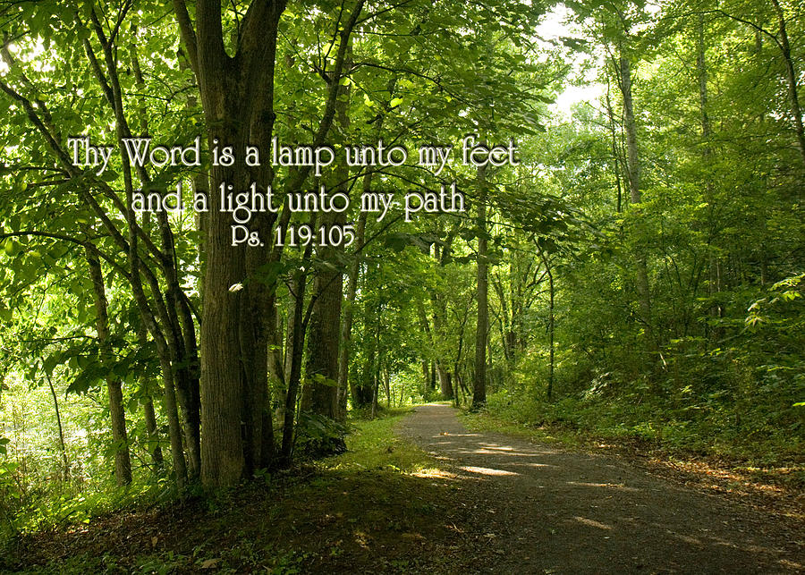 Thy word is a lamp unto my feet Photograph by Denise Beverly