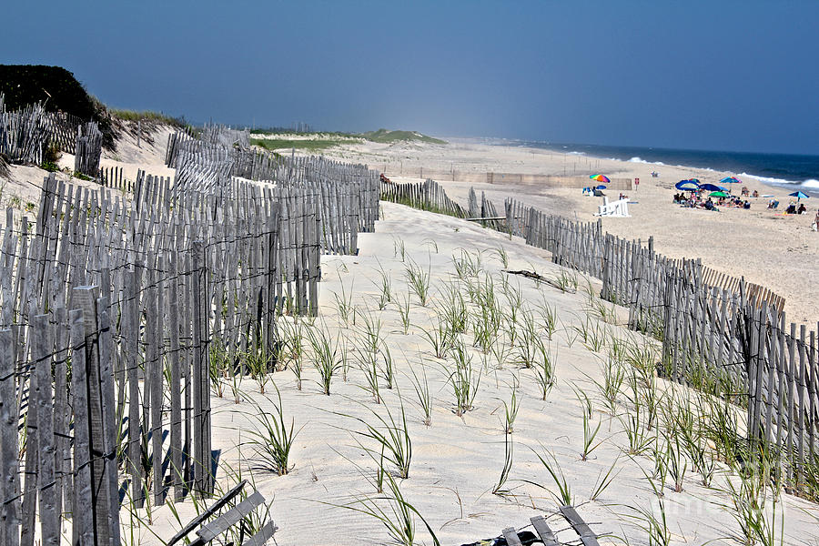 Tiana Beach in Hampton Bays Photograph by Christy Gendalia | Fine Art ...