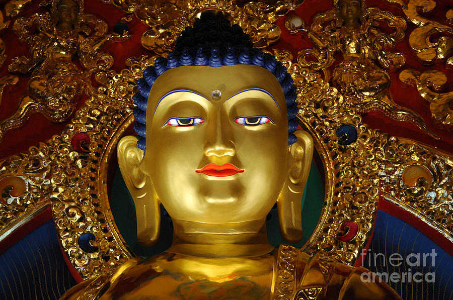 Tibetan Buddha 9 Photograph by Bob Christopher